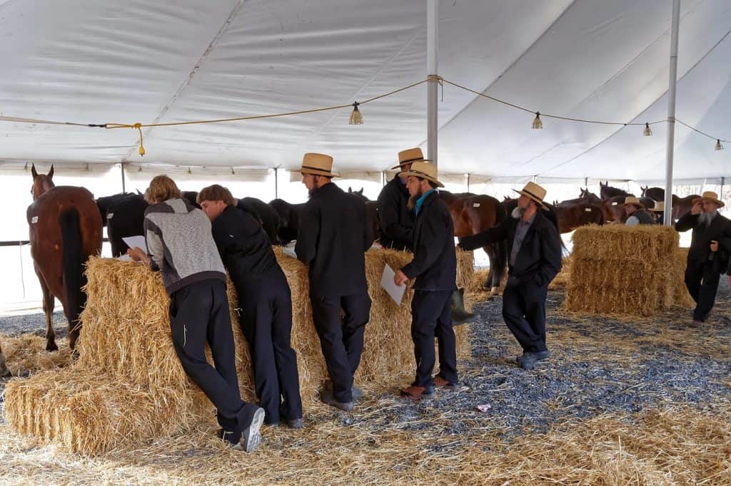 amish shaving practices